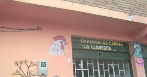EXPENDIO DE CARNES LA LLANERITA EXPENDIO DE CARNES LA LLANERITA